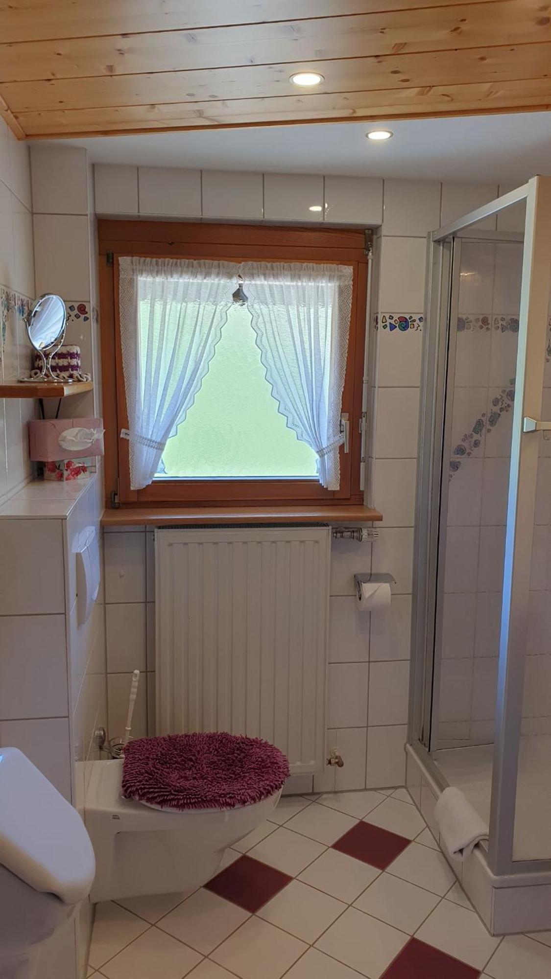 Apartamento Haus am Kreuzbühl Dachsberg im Schwarzwald Exterior foto