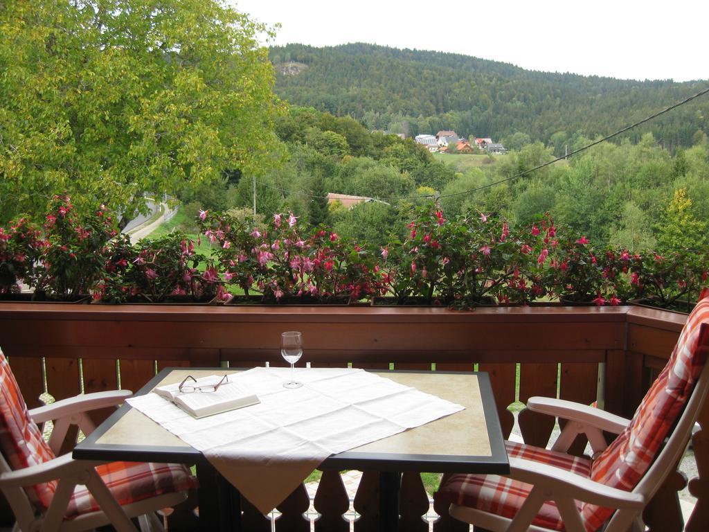Apartamento Haus am Kreuzbühl Dachsberg im Schwarzwald Exterior foto