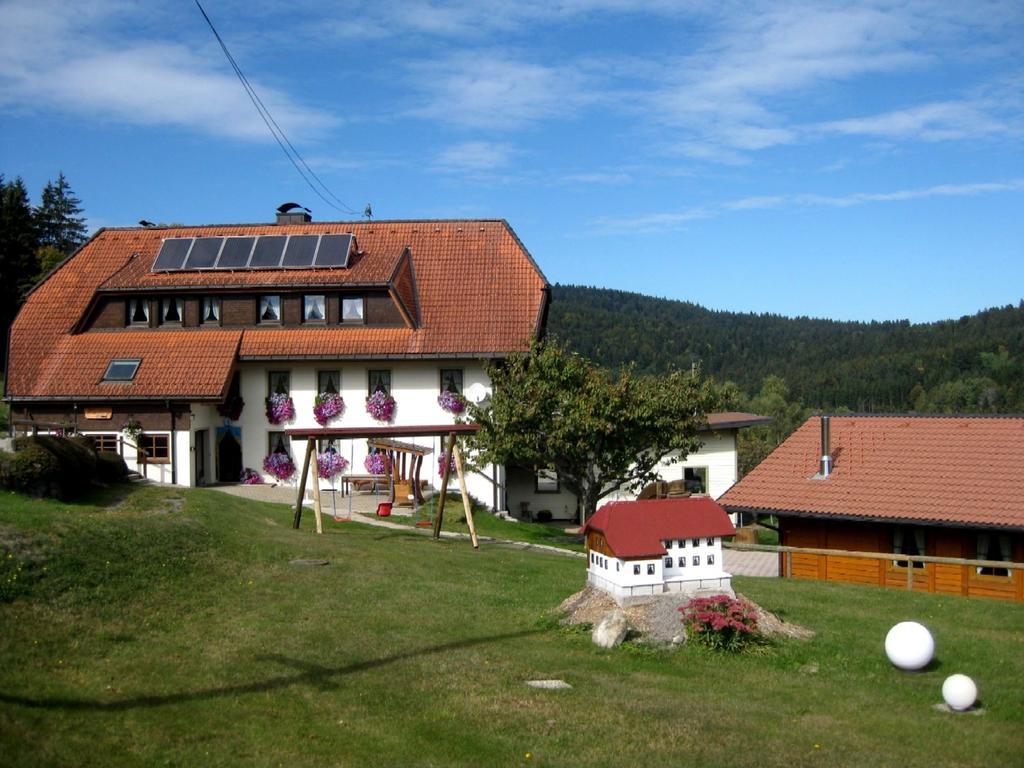 Apartamento Haus am Kreuzbühl Dachsberg im Schwarzwald Exterior foto