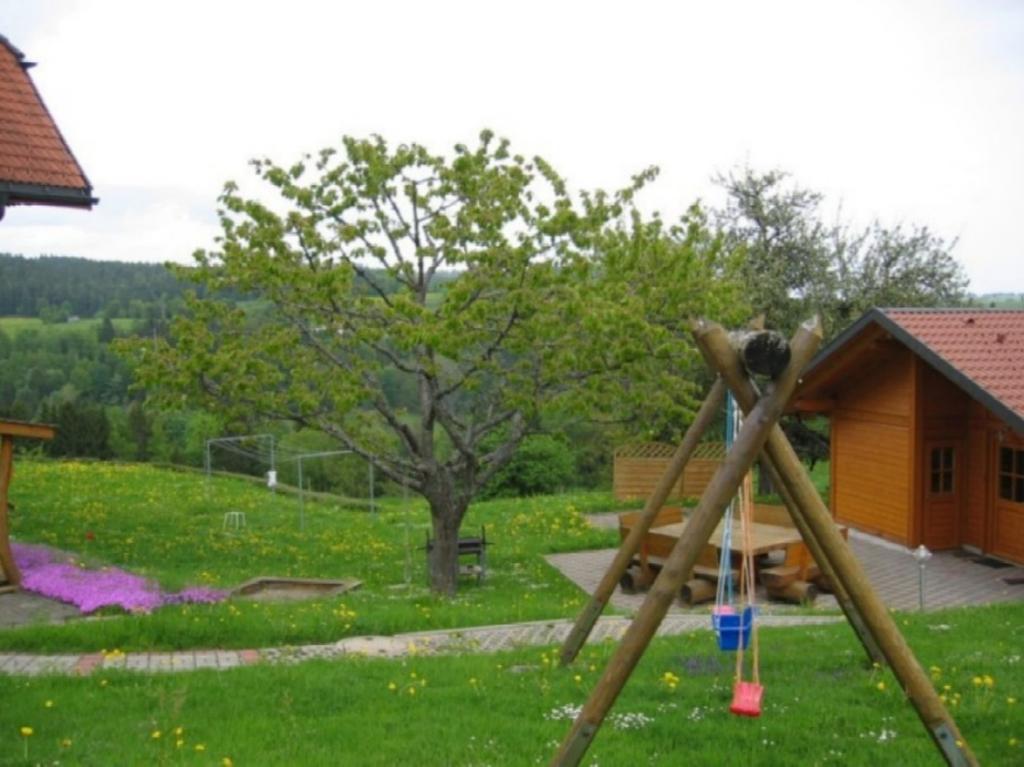Apartamento Haus am Kreuzbühl Dachsberg im Schwarzwald Exterior foto