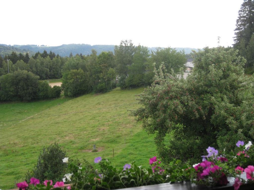 Apartamento Haus am Kreuzbühl Dachsberg im Schwarzwald Exterior foto