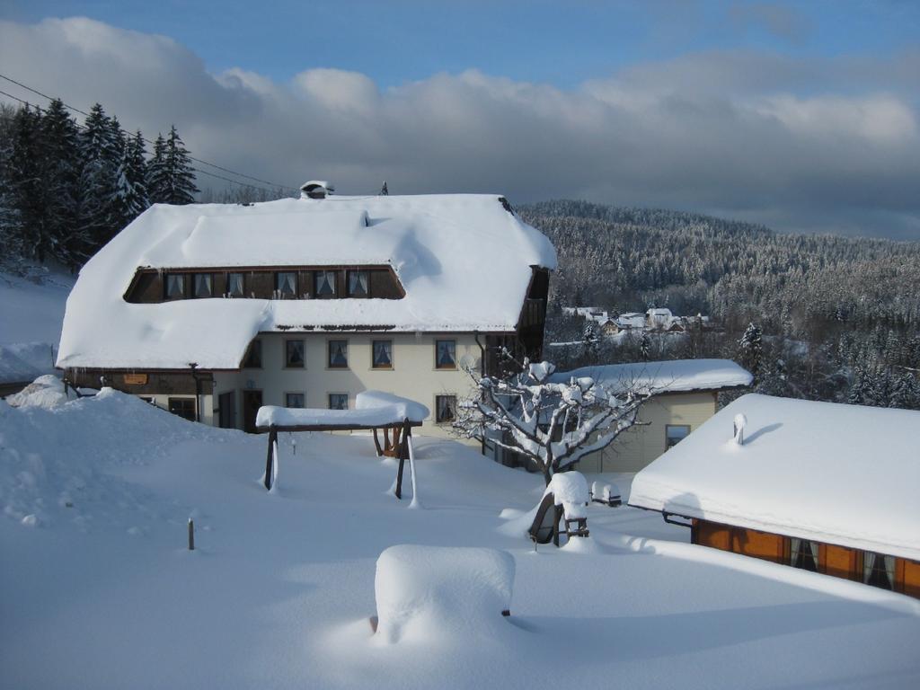 Apartamento Haus am Kreuzbühl Dachsberg im Schwarzwald Exterior foto
