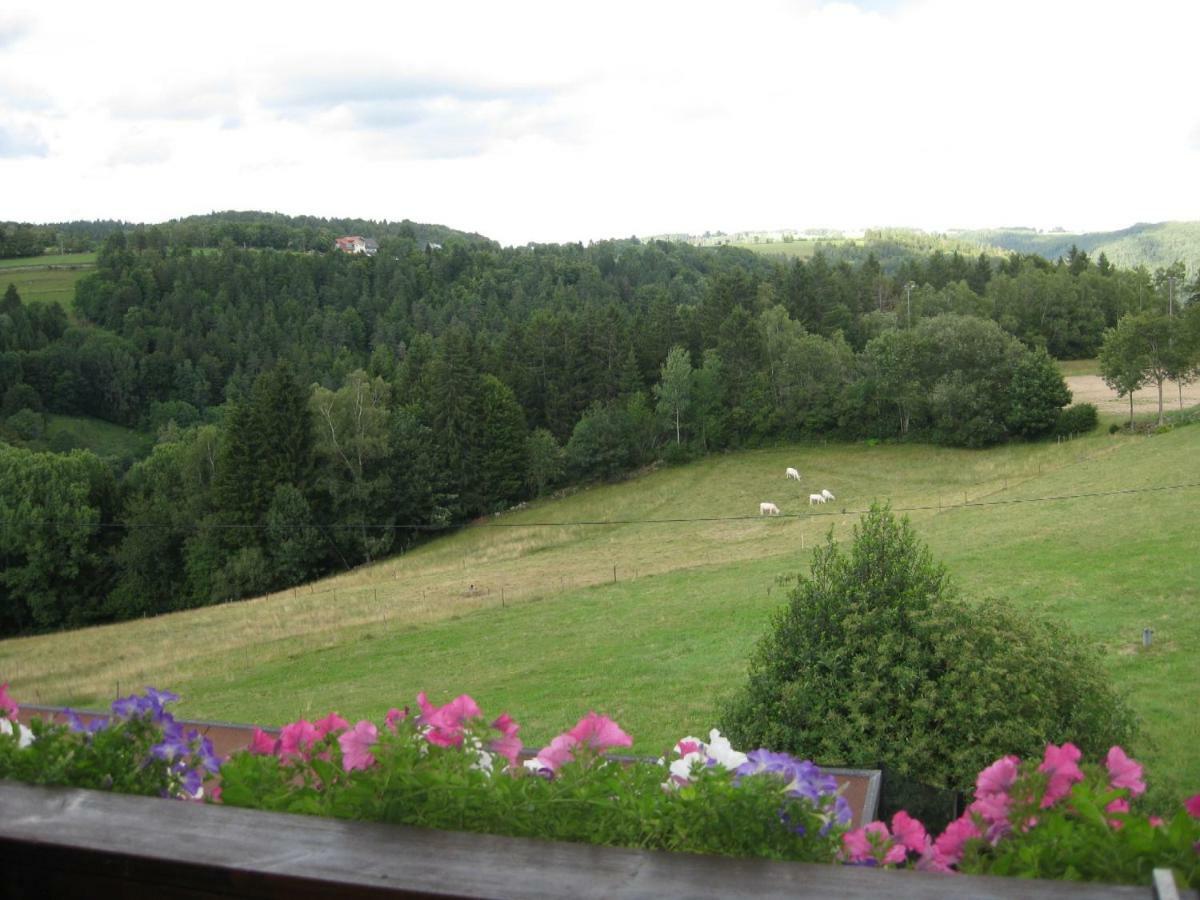 Apartamento Haus am Kreuzbühl Dachsberg im Schwarzwald Exterior foto