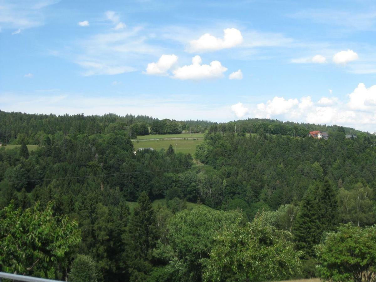 Apartamento Haus am Kreuzbühl Dachsberg im Schwarzwald Exterior foto